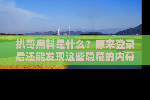 扒哥黑料是什么？原来登录后还能发现这些隐藏的内幕！