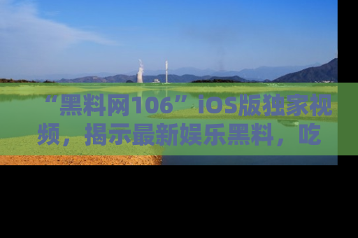“黑料网106”iOS版独家视频，揭示最新娱乐黑料，吃瓜不停！
