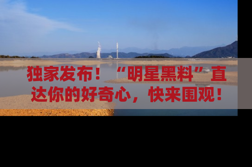独家发布！“明星黑料”直达你的好奇心，快来围观！