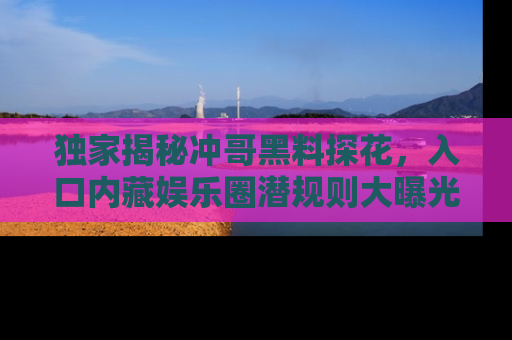 独家揭秘冲哥黑料探花，入口内藏娱乐圈潜规则大曝光