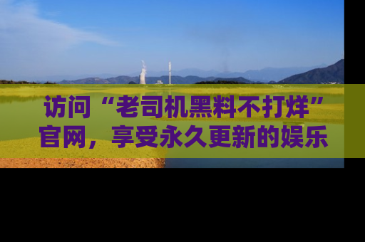 访问“老司机黑料不打烊”官网，享受永久更新的娱乐八卦和内幕新闻！
