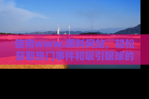 使用www.黑料网站，轻松获取热门事件和吸引眼球的黑料