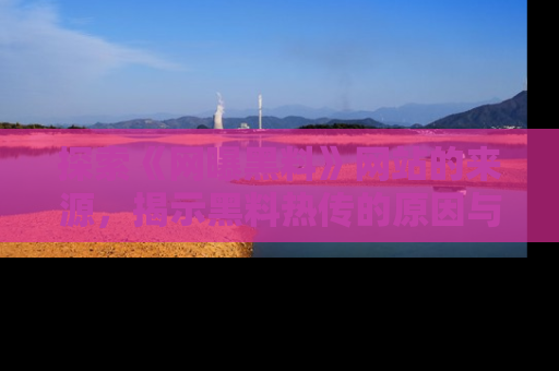 探索《网曝黑料》网站的来源,揭示黑料热传的原因与影响
