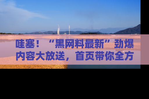 哇塞!“黑网料最新”劲爆内容大放送,首页带你全方位了解哦,小可爱们