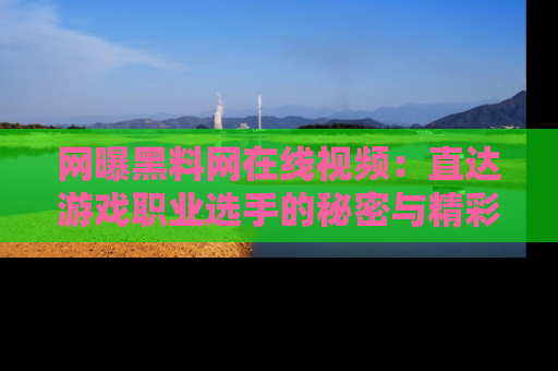 网曝黑料网在线视频:直达游戏职业选手的秘密与精彩动漫片段!