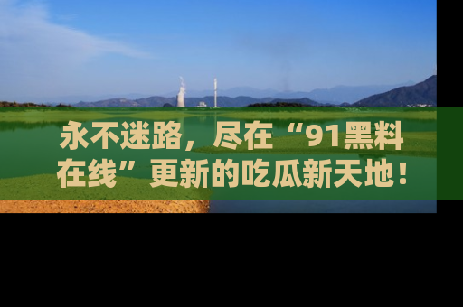 永不迷路，尽在“91黑料在线”更新的吃瓜新天地！