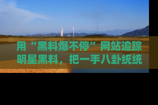 用“黑料爆不停”网站追踪明星黑料，把一手八卦统统收进你的后宫中！