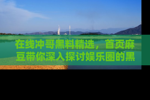在线冲哥黑料精选，首页麻豆带你深入探讨娱乐圈的黑暗面